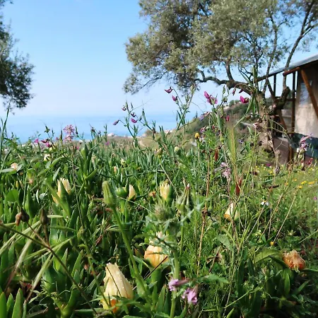 Campo Agave Luxury Tents Sayalonga