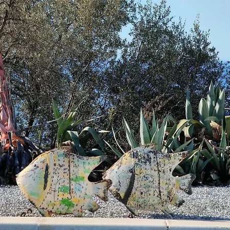 Campo Agave Luxury Tents * Саялонга