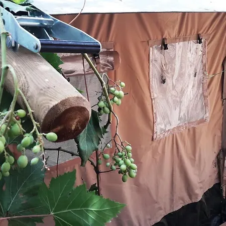 Campo Agave Luxury Tents Luxuszelt Sayalonga