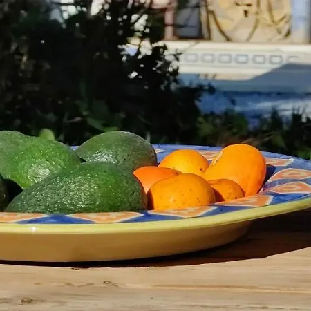 Campo Agave Luxury Tents Роскошный шатер *