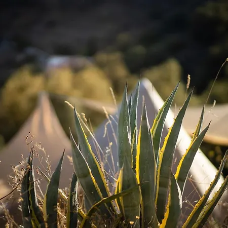 Campo Agave Luxury Tents Sayalonga