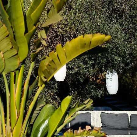Campo Agave Luxury Tents Sayalonga