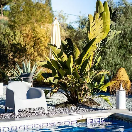 Campo Agave Luxury Tents