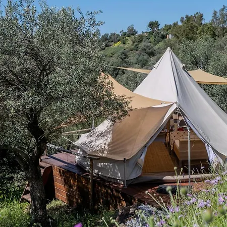 Campo Agave Luxury Tents *